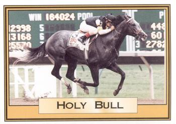 1995 Horse Star Holy Bull #8 Holy Bull Front